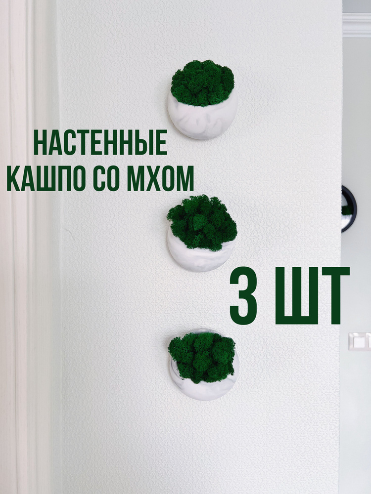 Набор мраморных настенных декоративных ваз 3 шт 10 см с стабилизированными цветами и мхом из гипса с #1