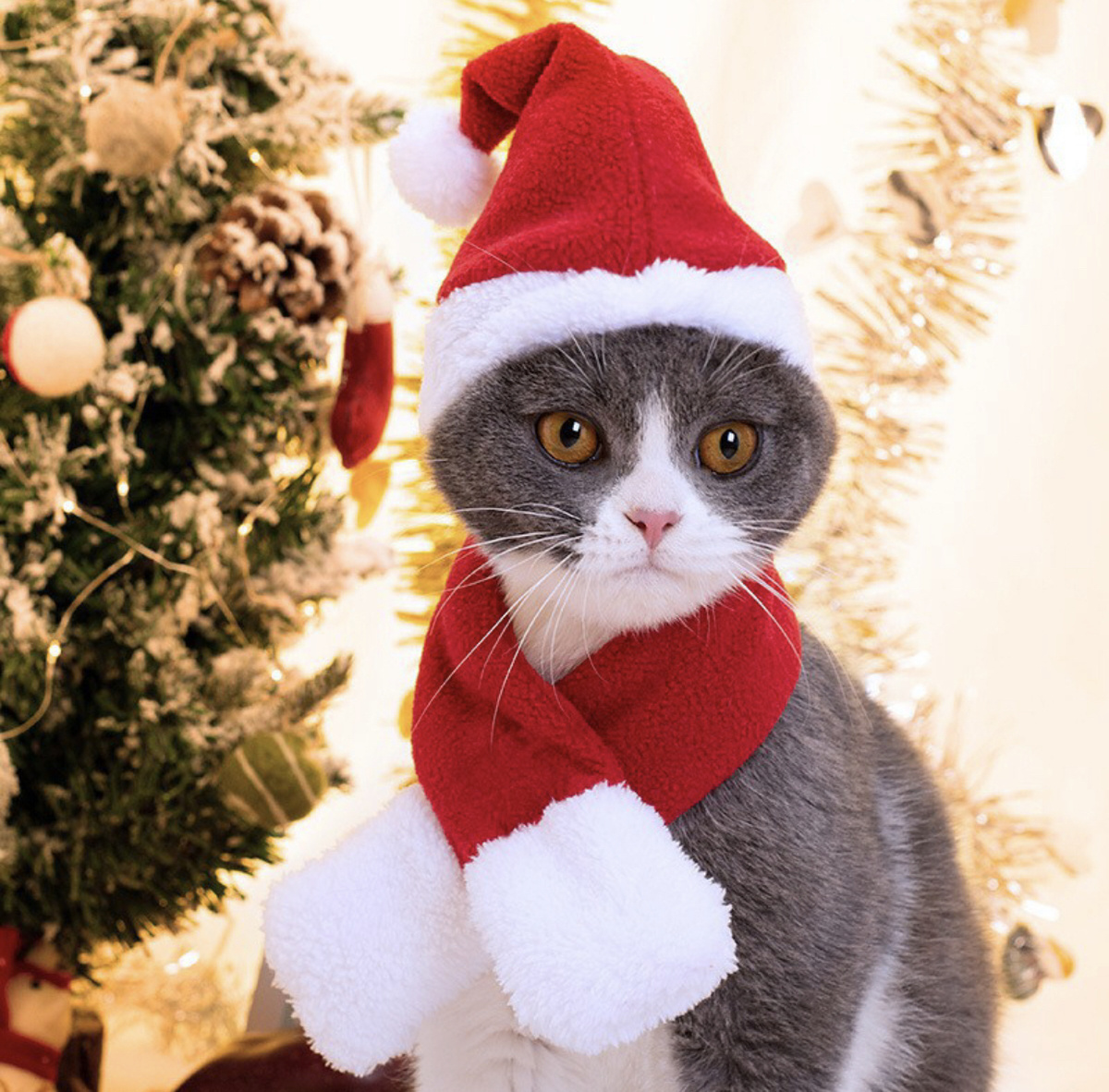 Новогодняя Одежда Для Кошек