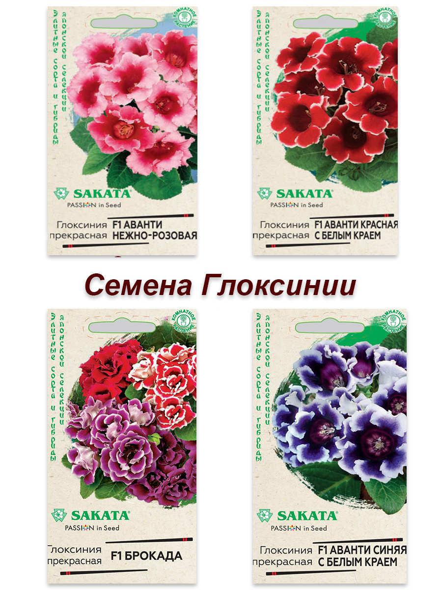 Комнатные Цветы Семенами Магазин