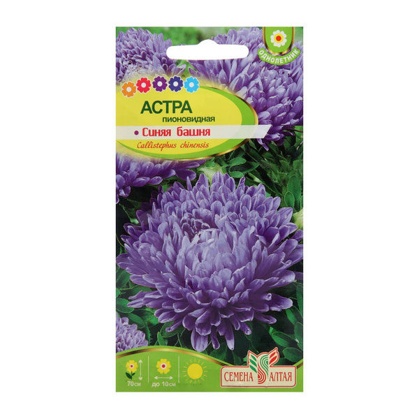 Астры многолетние Семена Алтая 7349690 - купить по выгодным ценам в ...