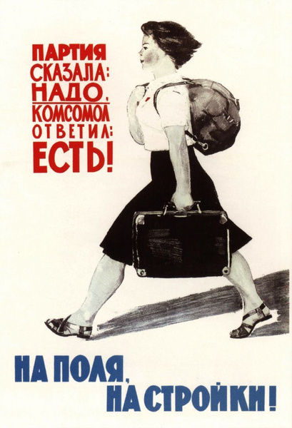 Плакаты Вайлдберриз