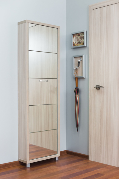 Обувница Ironnori 5_04_1_Фасад Зеркало, ЛДСП, 54.5x19x174 см - купить ...