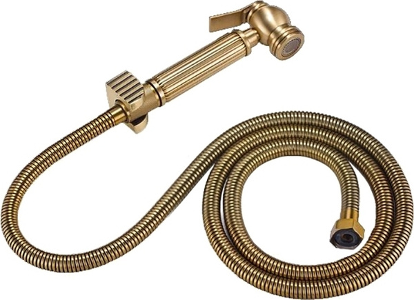 Гигиеническая лейка со шлангом для биде ZorG Sanitary AZR 3 LB BR ...