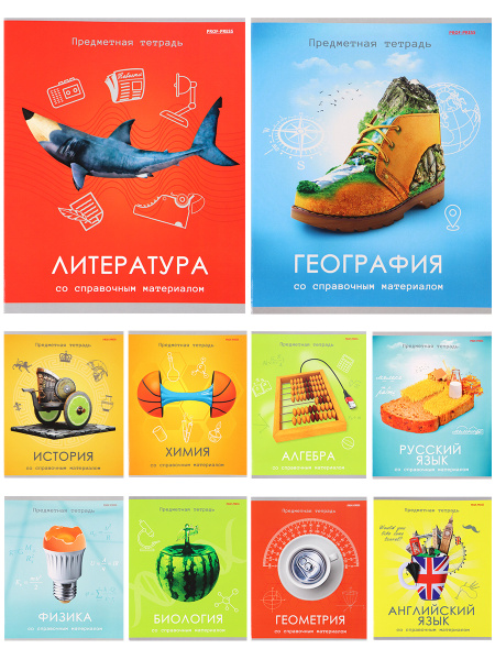 Комплект из предметных тетрадей, Prof-Press, 10 тетрадей, Игры разума ...