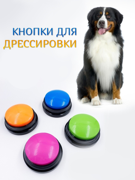 Кнопки - тренажер для дрессировки собак и кошек с аудиозаписью ...