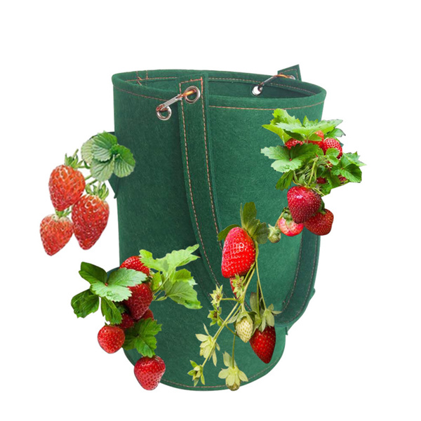Мешки для выращивания клубники размером 15 x 9 дюймов с 8 Grow купить ...