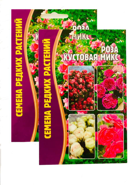 Роза, Розы Семена цветов для сада Роза кустовая Микс - купить по ...