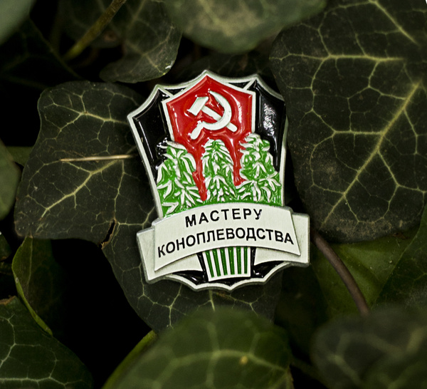 Знак "Мастеру коноплеводства" - купить с доставкой по выгодным ценам в ...