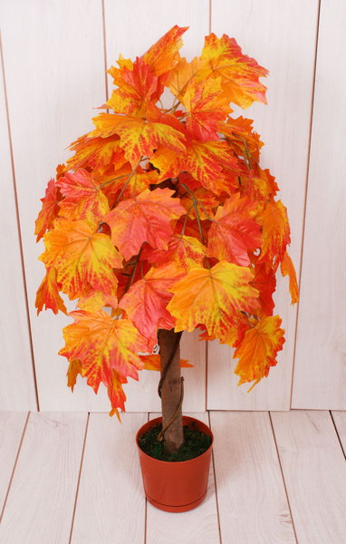Купить Искусственное дерево / Осенний клен бонсай / В горшках / В кашпо ...