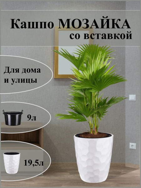 Кашпо для растений. пластиковый горшок для цветов. Цветочный горшок ...