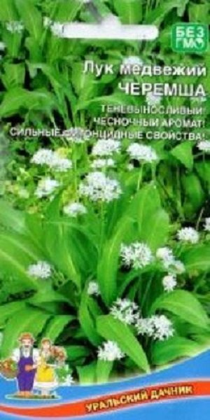 Черемша, Лук Уральский дачник Лук медвежий Черемша - купить по выгодным ...
