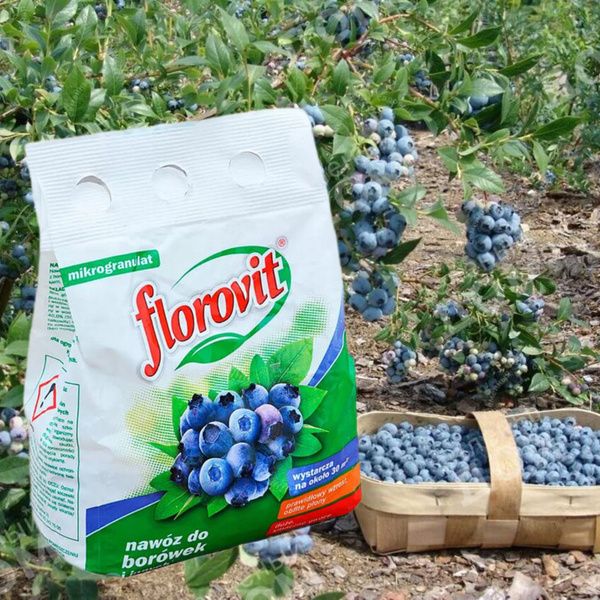 Florovit Удобрение для голубики , брусники , черники, клюквы и других ...
