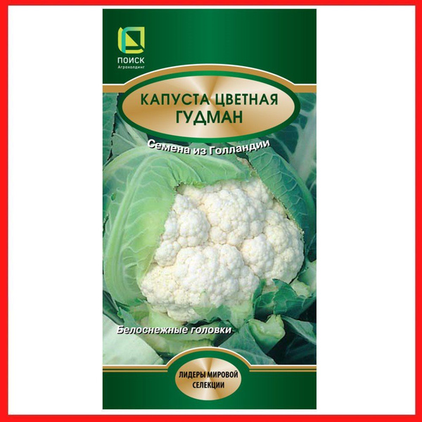 Капуста цветная гудман фото - DelaDom.ru