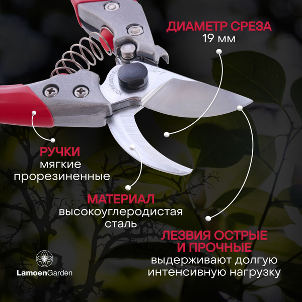 Секатор ARS VS-7Z - купить по выгодным ценам в интернет-магазине OZON ...