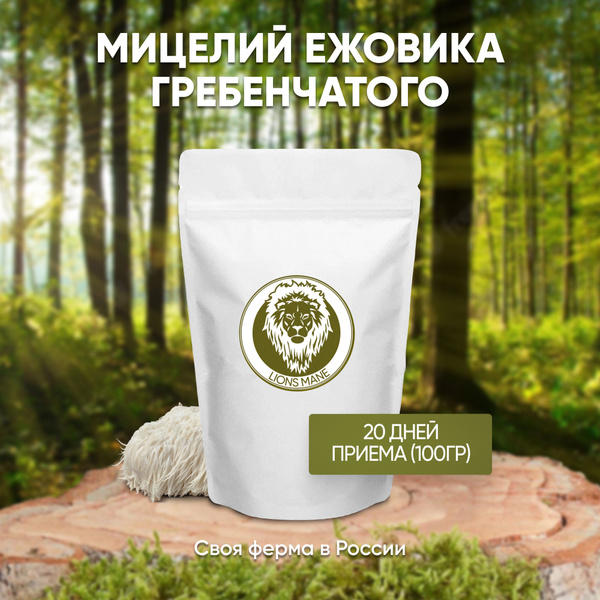 Ежовик (Ежевик) Гребенчатый Мицелий, 100 г. - купить с доставкой по ...