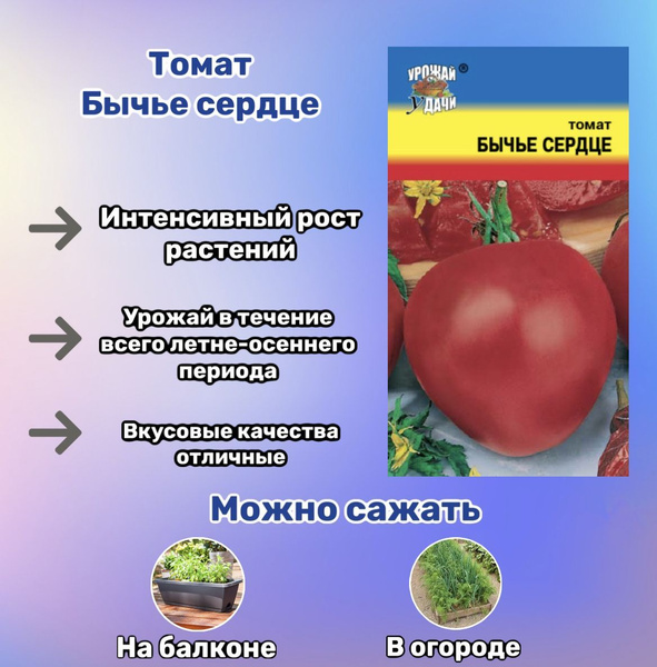 Купить бычье семя. Многолетний томат. Что представляет собой томат госпожа удача.