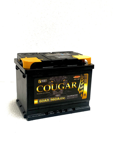 Аккумулятор автомобильный COUGAR Power купить по выгодной цене в ...