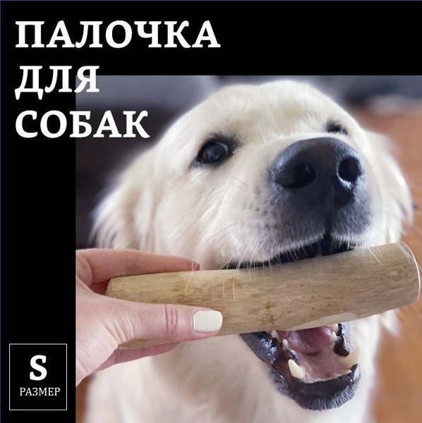Палочка - грызак из кофейного дерева для чистки зубов собак и игры ...