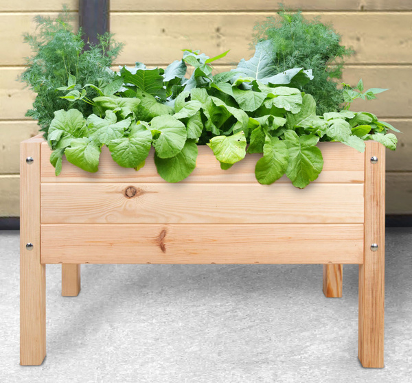 деревянный ящик с разнородными овощами с грядки