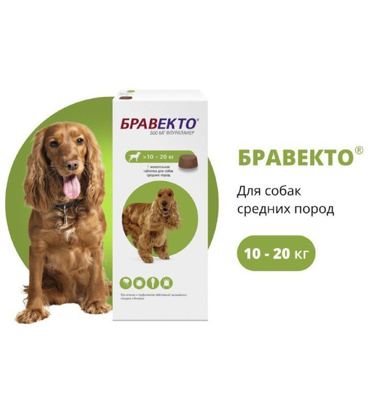 бравекто для собак 10 20 кг купить в спб