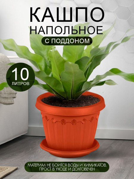 Горшок , кашпо для цветов, орхидеи, суккулентов, кактусов, фиалок ...