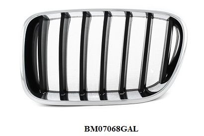 Решетка радиатора левая для БМВ Х3 Ф25 2010-2014, BMW X3 F25 решетка ...