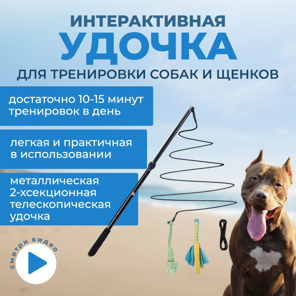 Интерактивная удочка для собак, удочка для игры и тренировок щенков и ...