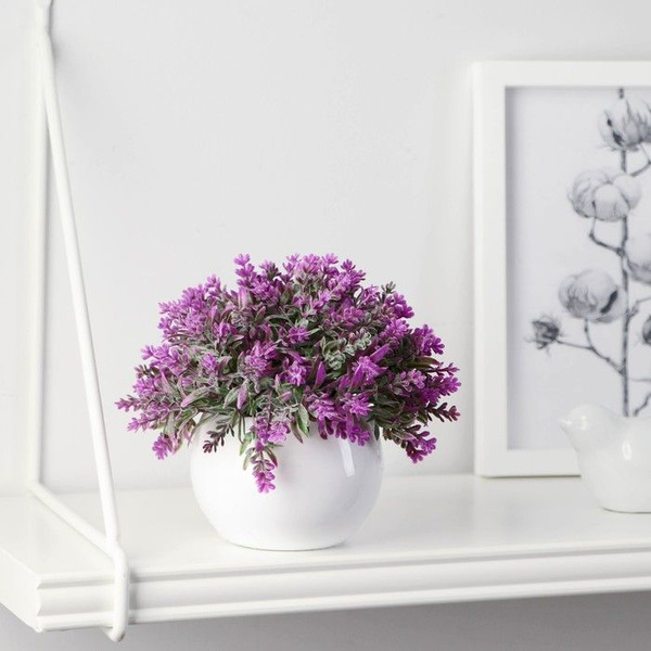 Купить Бонсай в горшке "Лаванда декоративная" 8х10 см, микс по выгодной ...