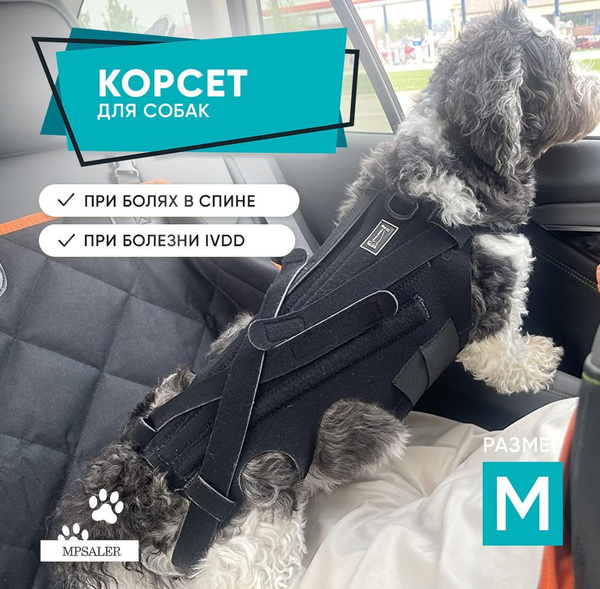 Корсет для спины собаки при болезни межпозвоночных дисков (IVDD ...