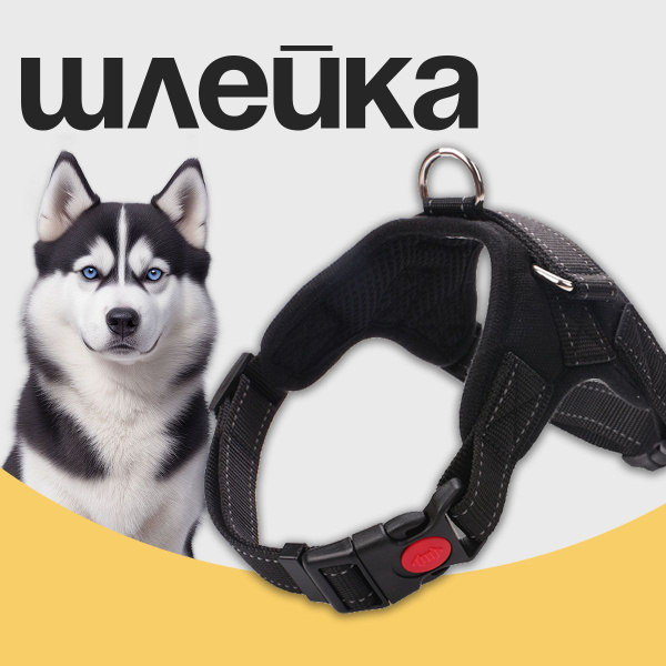 Шлейка для собак MiloPets купить на OZON по низкой цене (261185246)