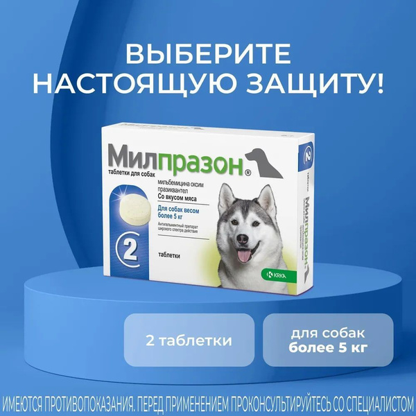 Милпразон таблетки для собак - купить с доставкой по выгодным ценам в ...
