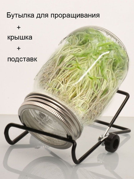 Проращиватель семян,1шт - купить с доставкой по выгодным ценам в ...