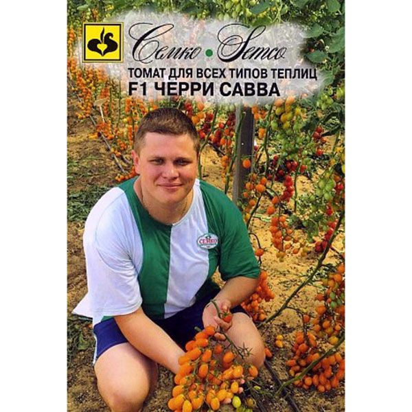 Черри от юрия отзывы фото томаты Томаты Семко томат - купить по выгодным ценам в интернет-магазине OZON (13891904