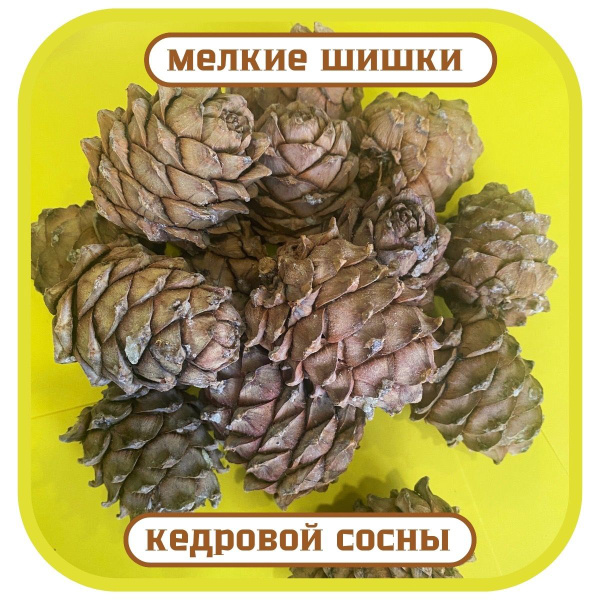 Шишки мелкие кедровые с орехами из ХМАО, урожай 2023 года, 30 штук ...