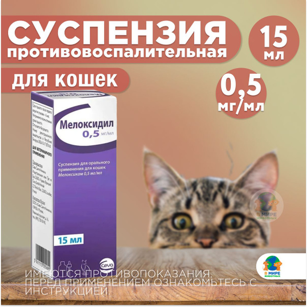 Мелоксидил для кошек