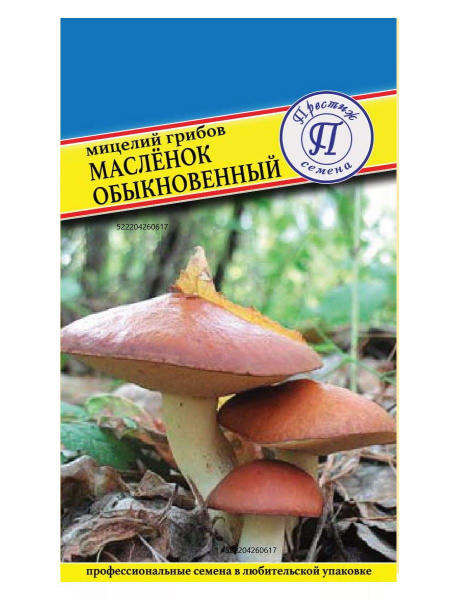 Мицелий грибов "МАСЛЕНОК ОБЫКНОВЕННЫЙ" семена грибов - купить по ...