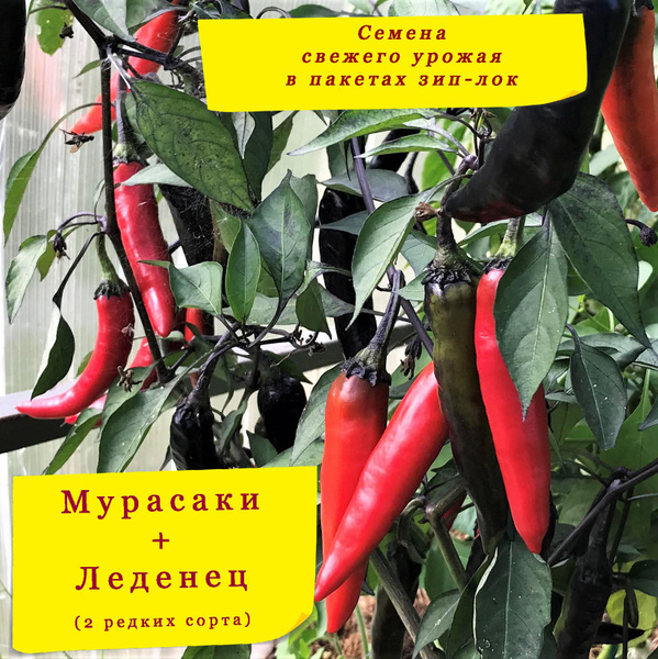 Перец сладкий Сладкий перец - купить по выгодным ценам в интернет ...