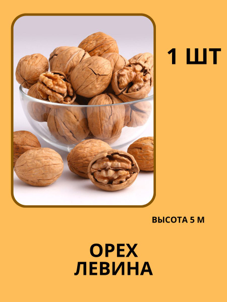 Клубни купить по выгодной цене в интернет-магазине OZON (1400447307)