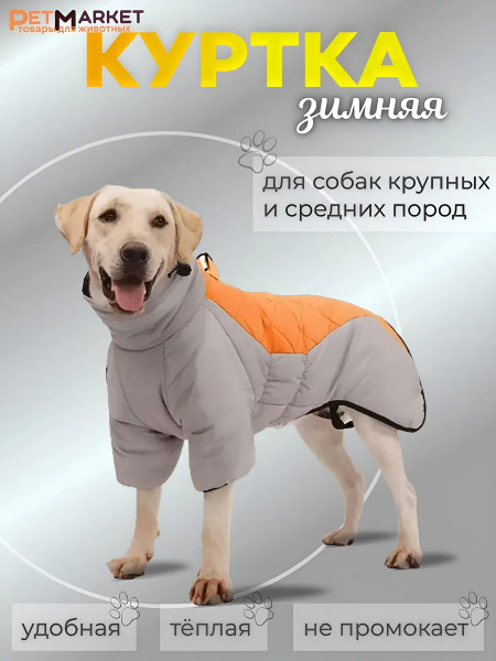 Куртка для собак средних и крупных пород купить на OZON по низкой цене ...