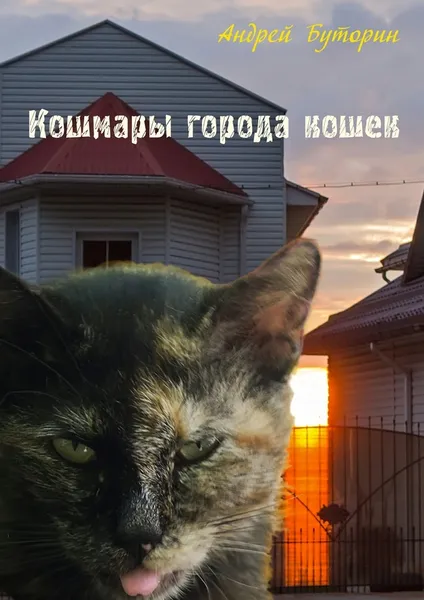 Обложка книги Кошмары города кошек, Андрей Буторин