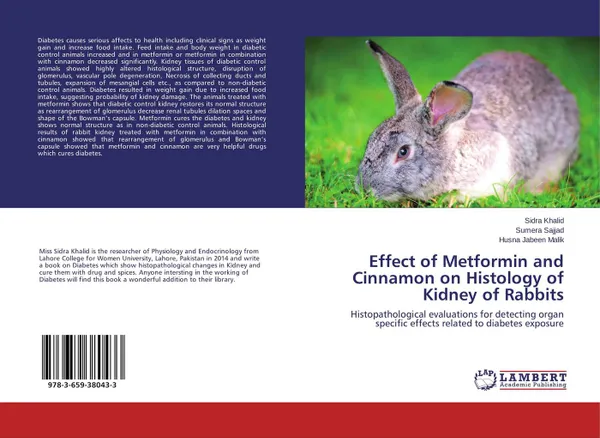 Обложка книги Effect of Metformin and Cinnamon on Histology of Kidney of Rabbits, Sidra Khalid,SUMERA SAJJAD and Husna Jabeen Malik