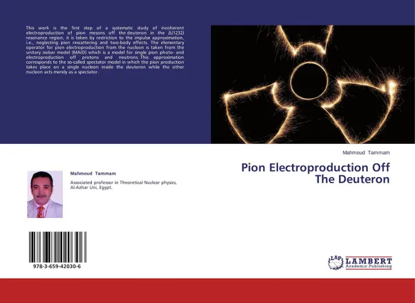 Обложка книги Pion Electroproduction Off The Deuteron, Mahmoud Tammam