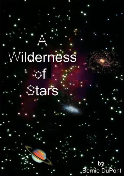 Обложка книги A Wilderness of Stars, Bernie A. DuPont