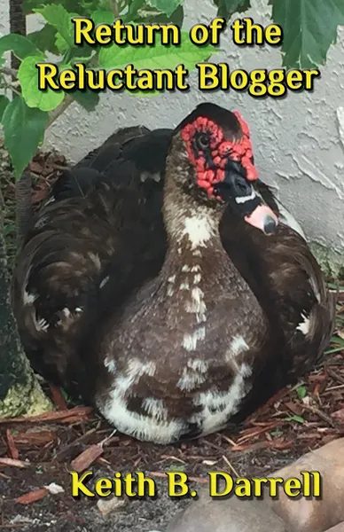 Обложка книги Return of the Reluctant Blogger, Keith B. Darrell