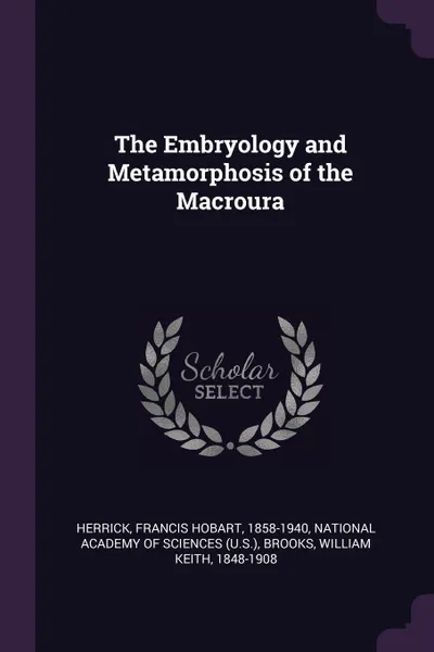 Обложка книги The Embryology and Metamorphosis of the Macroura, Herrick Francis Hobart, William Keith Brooks