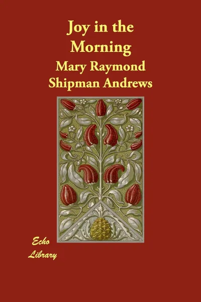 Обложка книги Joy in the Morning, Mary Raymond Shipman Andrews