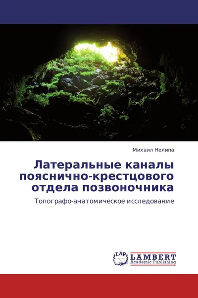 Обложка книги Латеральные каналы пояснично-крестцового отдела позвоночника, Михаил Нелипа