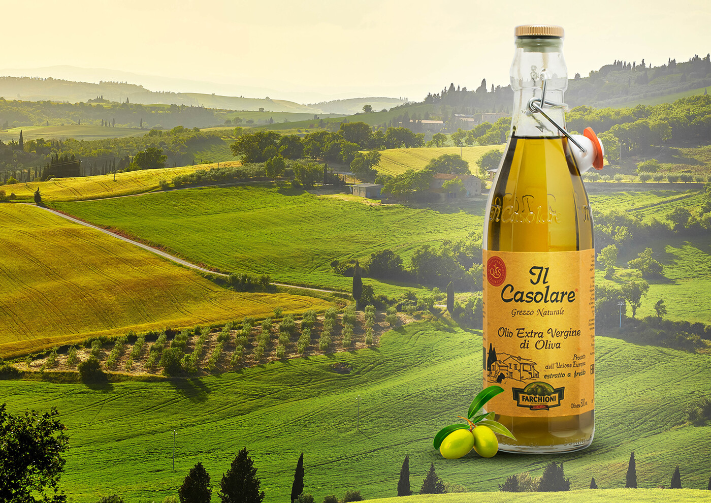 Производство оливкового масла. Оливковое масло il Casolare. Оливковое масло Extra Virgin Италия. Оливки в Италии масло. Оливковое масло производители.