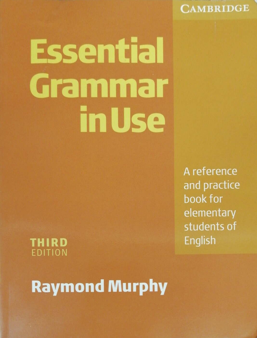 Supplementary exercises essential grammar