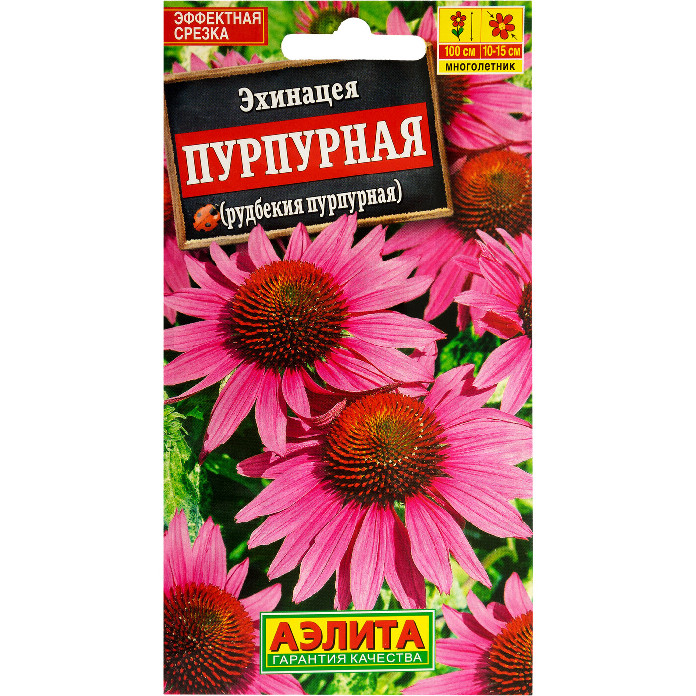 Эхинацея Семена Купить В Интернет Магазине